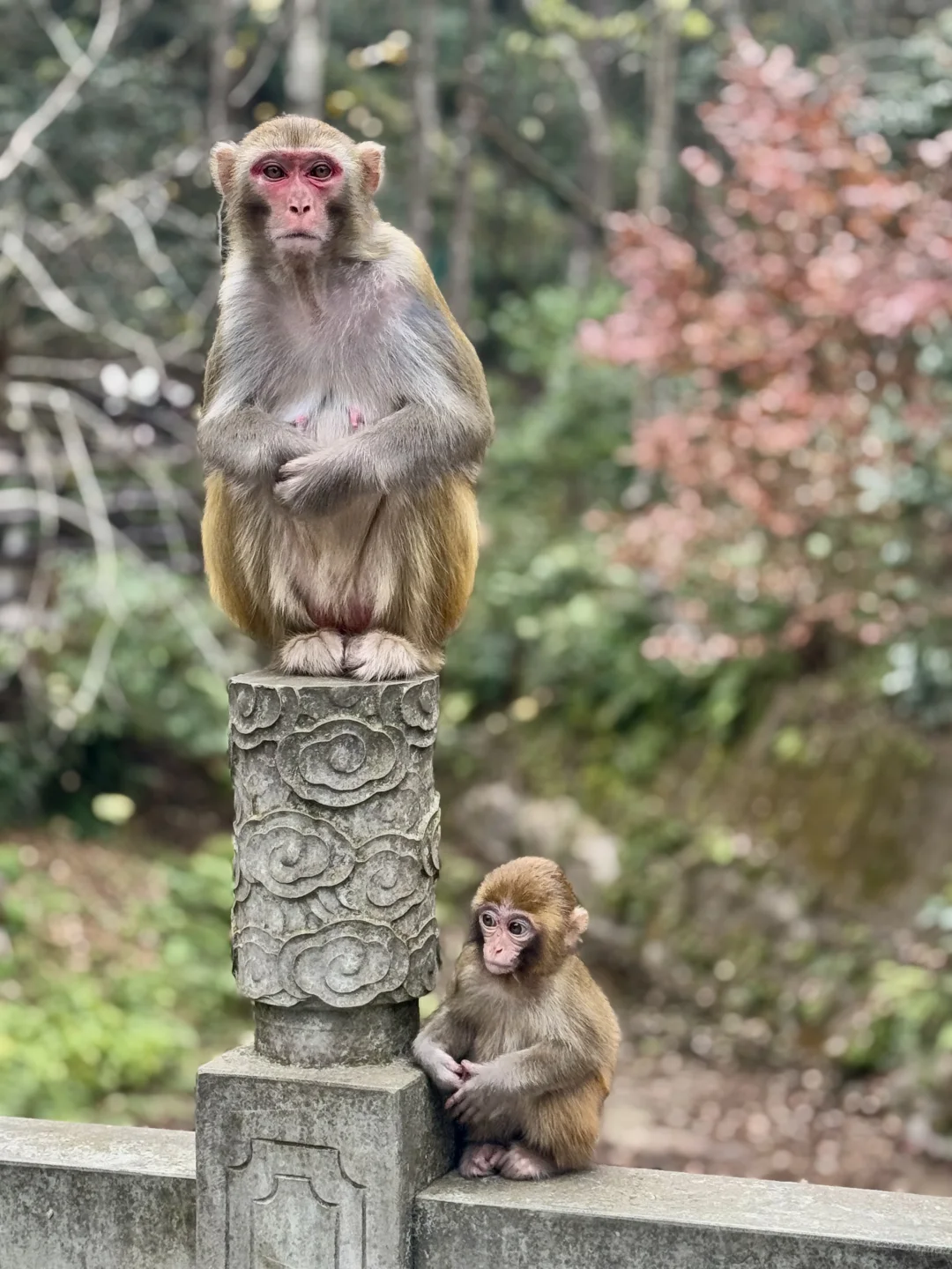张家界，太美了！附精华攻略📖