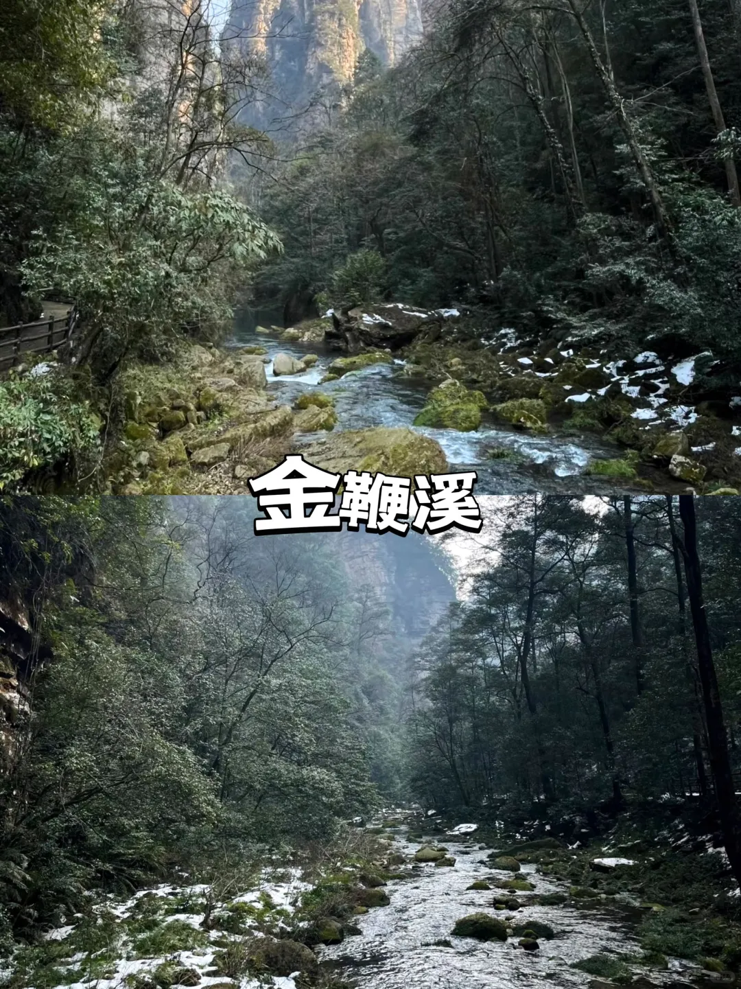 📍张家界受冻已回，但也被雾凇美哭啦😭