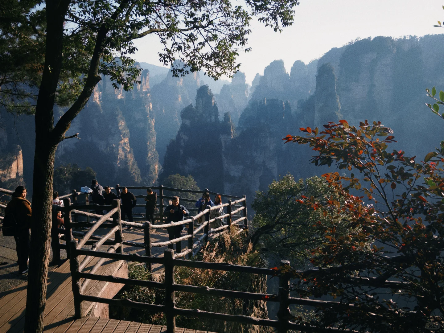 三天十万步畅游张家界