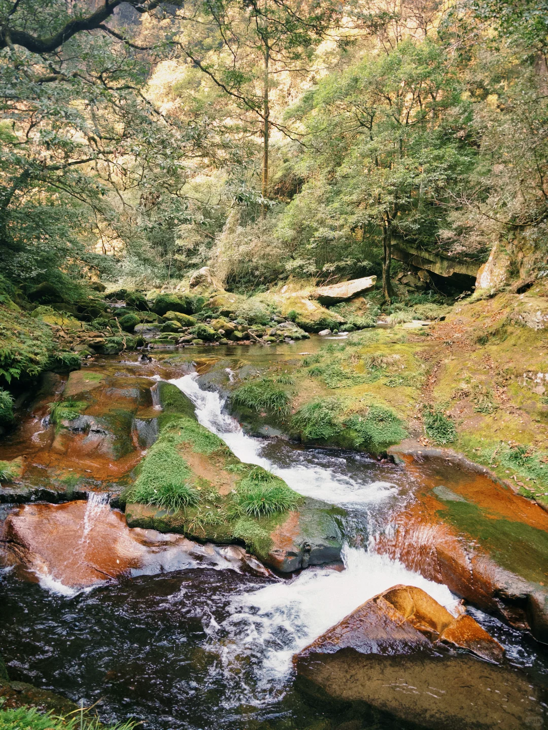 三天十万步畅游张家界