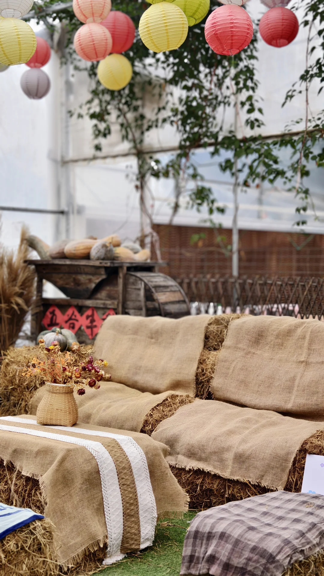 景湘园艺家，窑烤面包➕围炉煮茶温暖上线