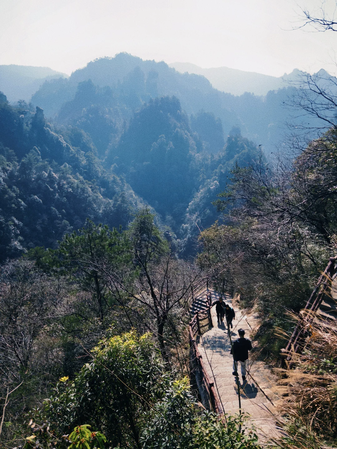 三天十万步畅游张家界