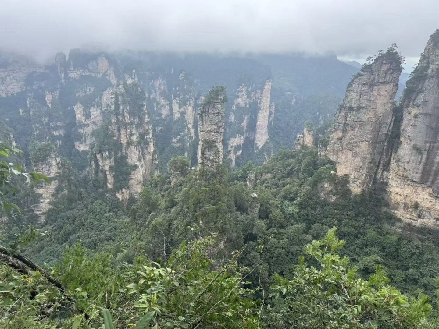 张家界游玩体验