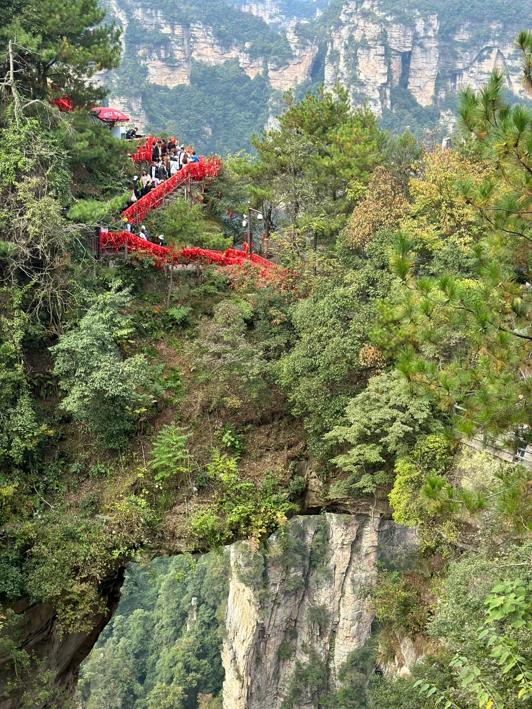 一天一夜的张家界来了