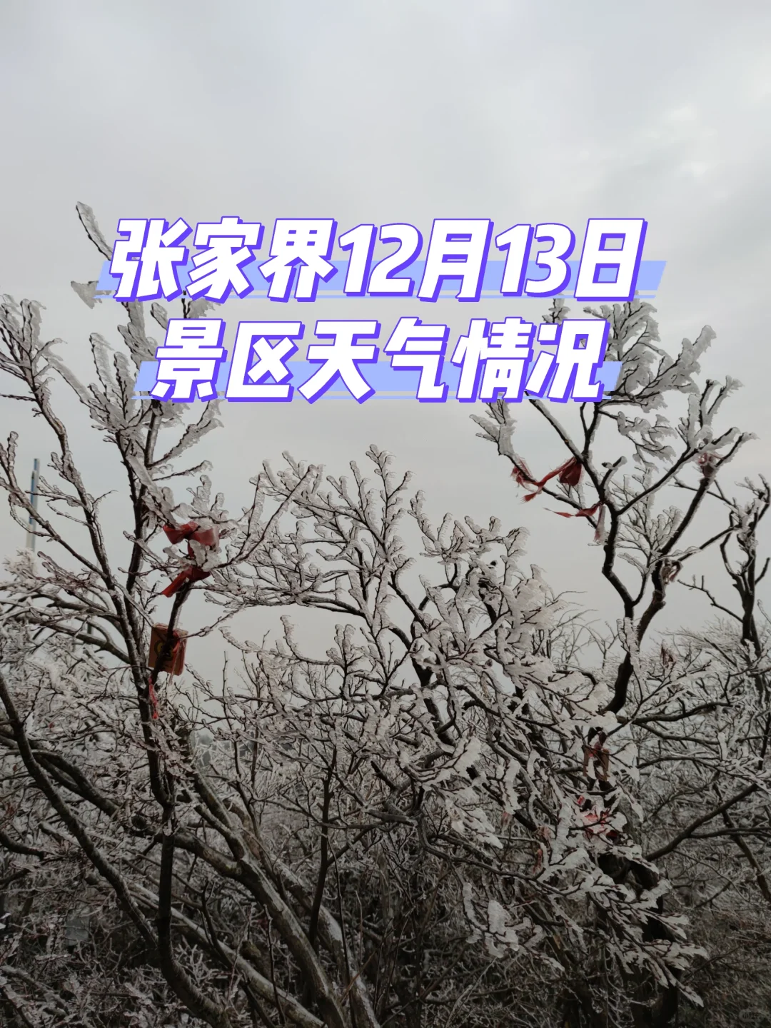 张家界景区实况12月13日