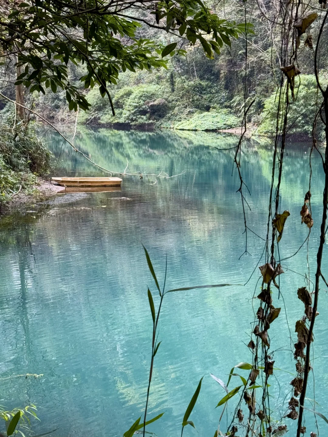 张家界大峡谷有点东西