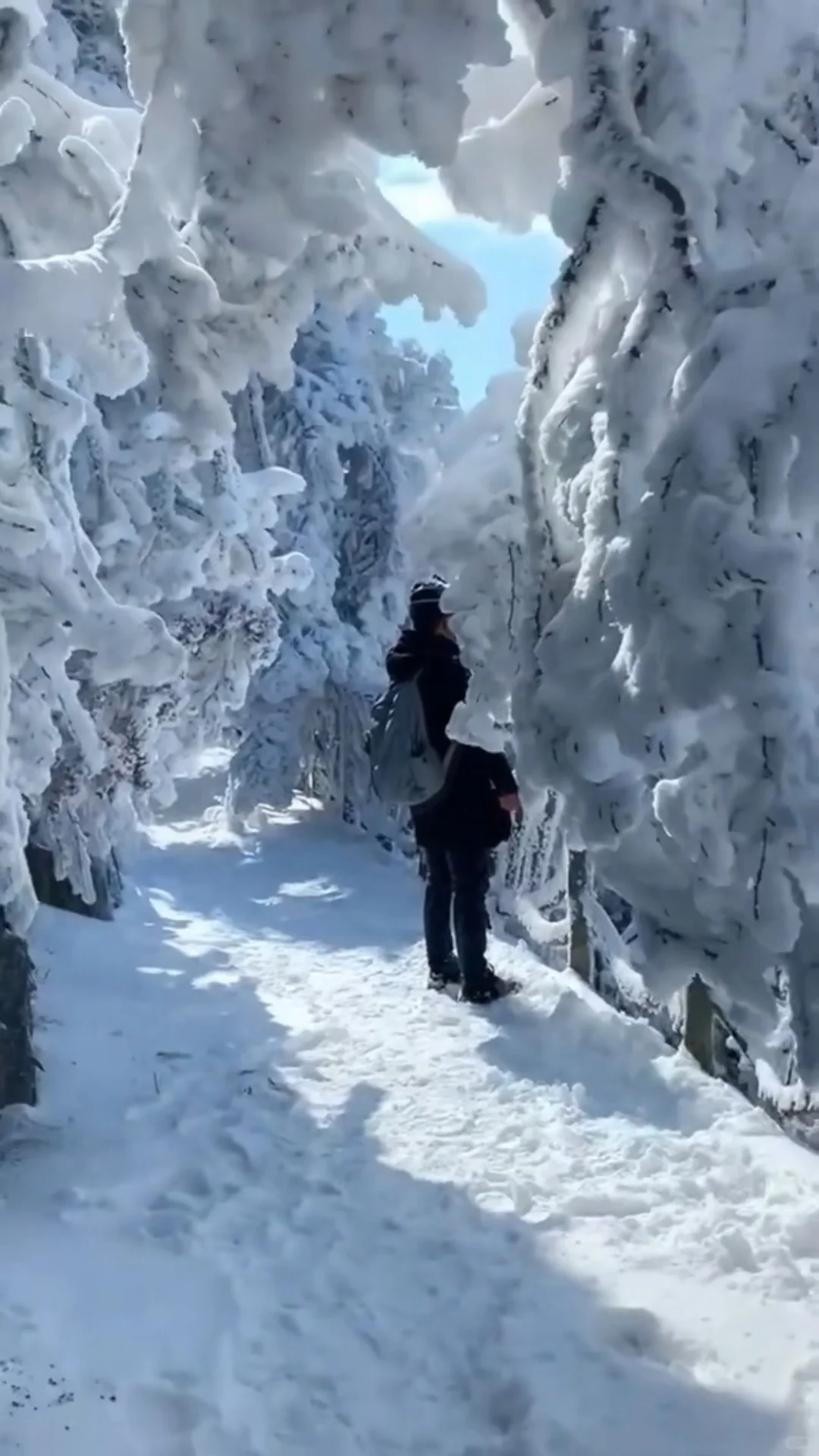 人生建议：冬天一定要去张家界看雪❄️