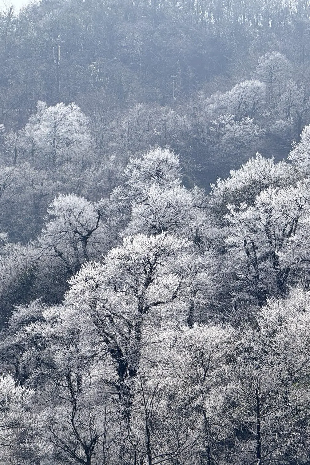 快看！天门山雾凇杀疯了