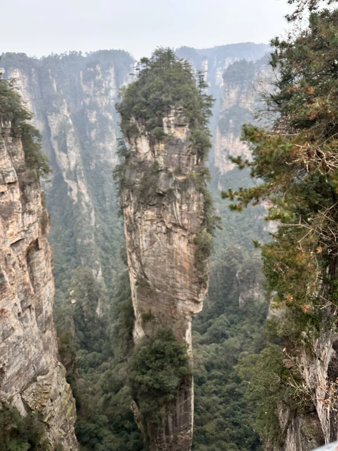 这个季节就不要来张家界了