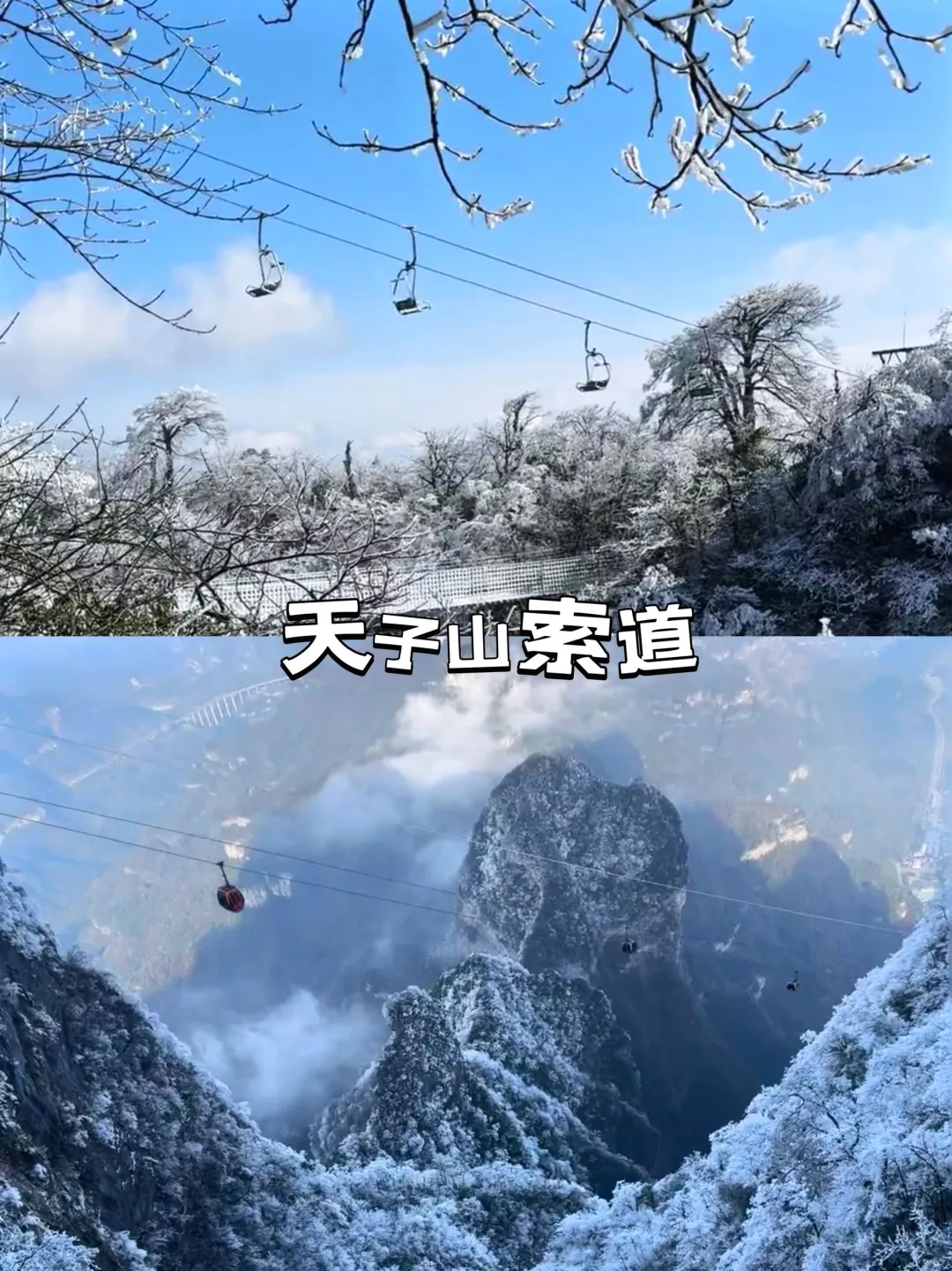 📍张家界受冻已回，但也被雾凇美哭啦😭