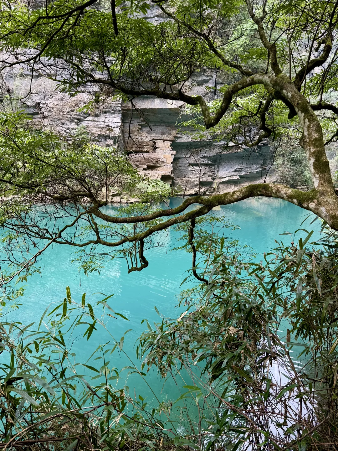 张家界大峡谷有点东西