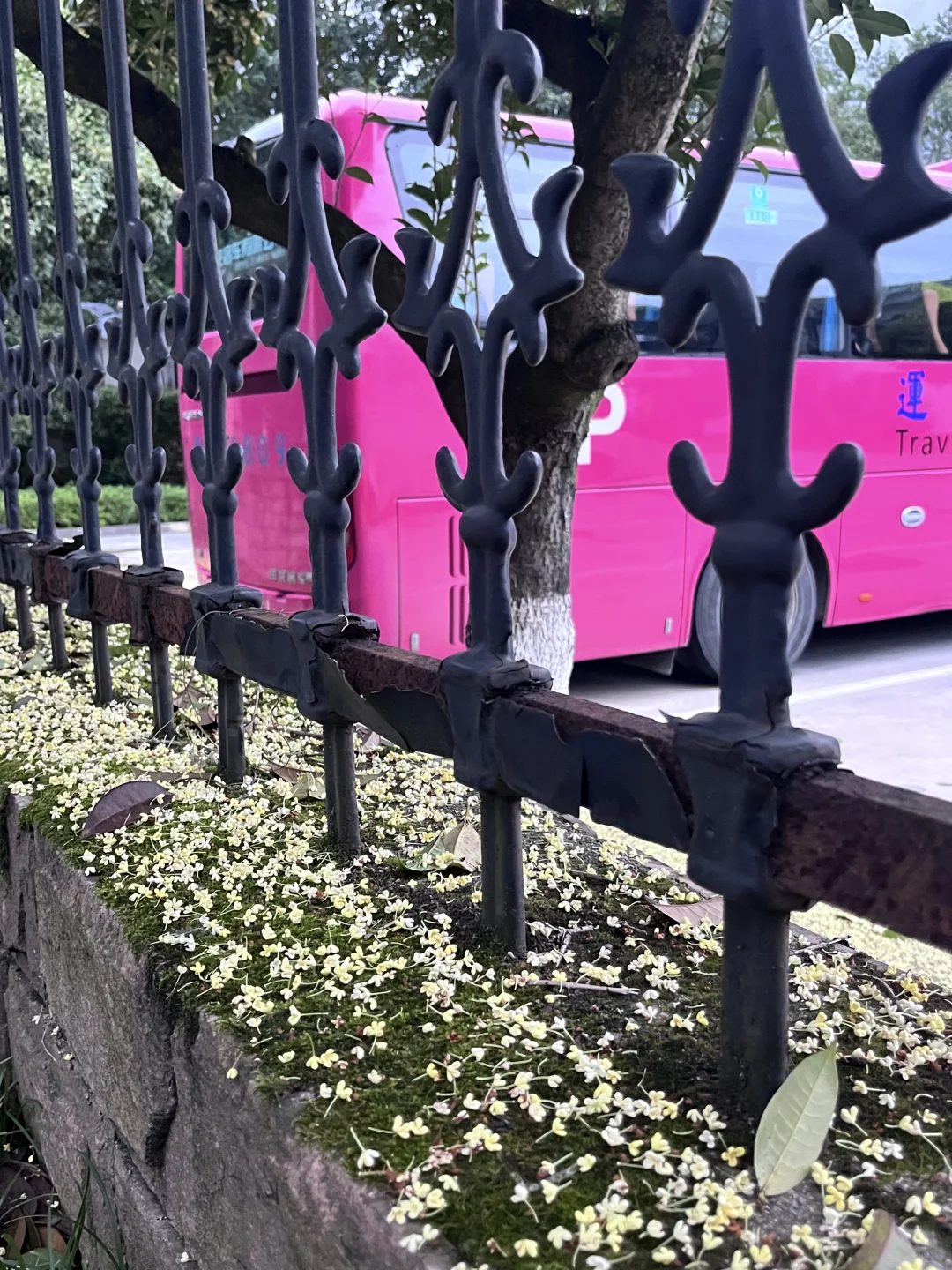 国庆张家界森林公园新皮肤