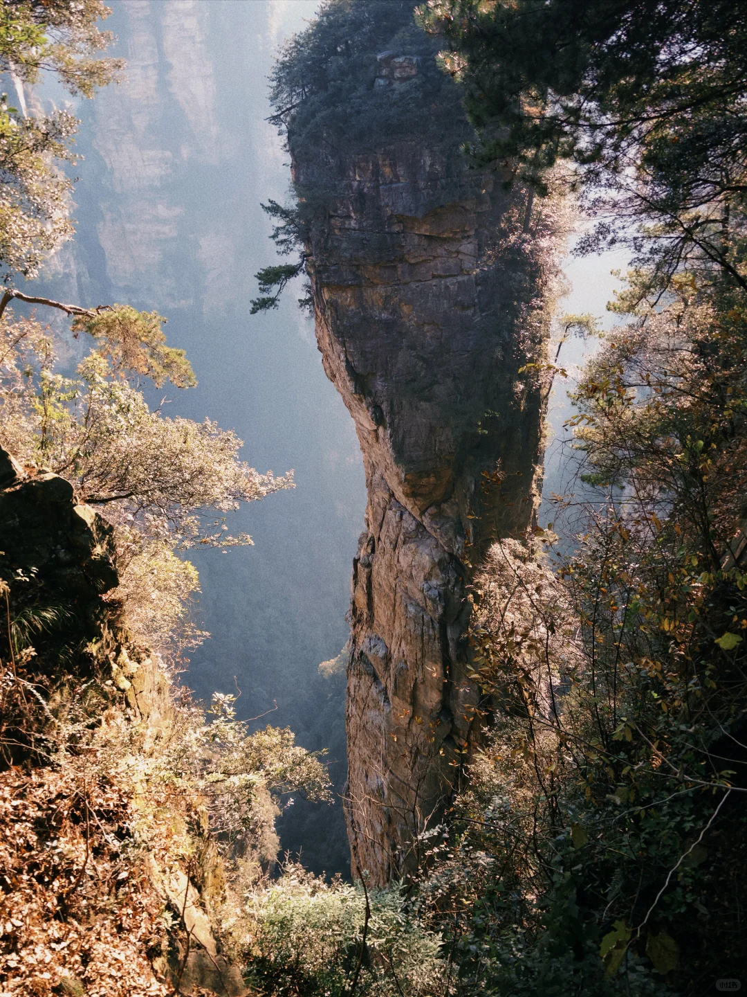 三天十万步畅游张家界