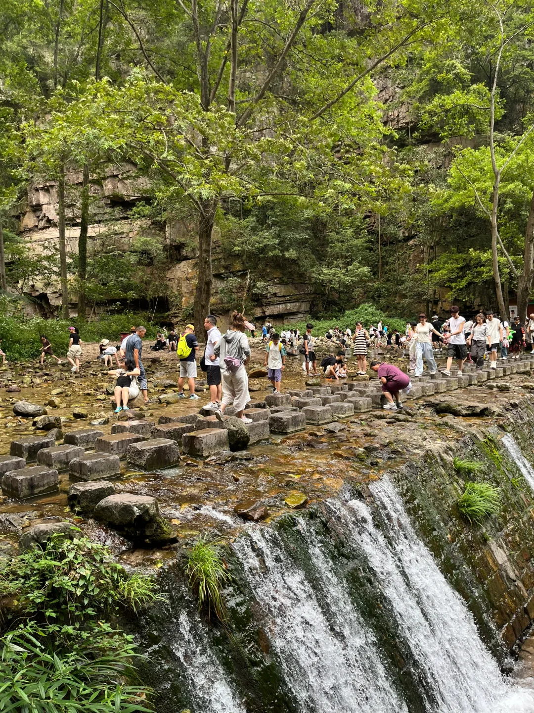 8.27张家界现状 ！近期去的姐妹小心...