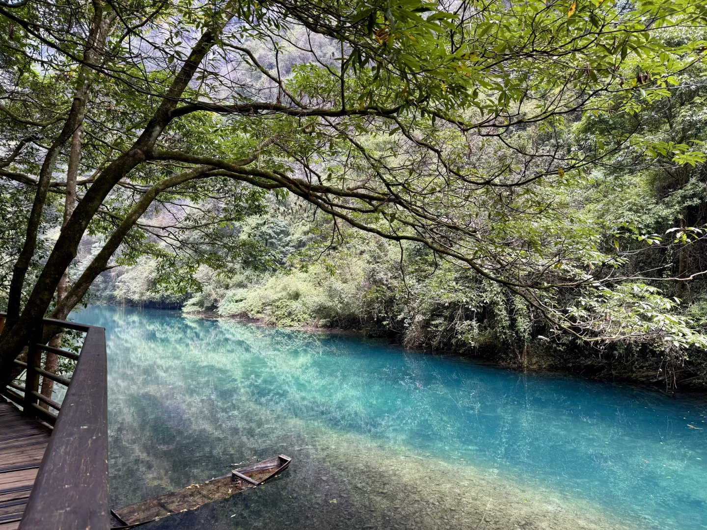 张家界大峡谷有点东西