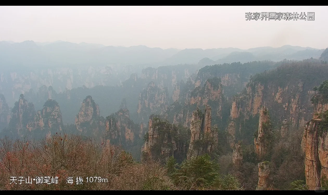 张家界景区实况12月13日