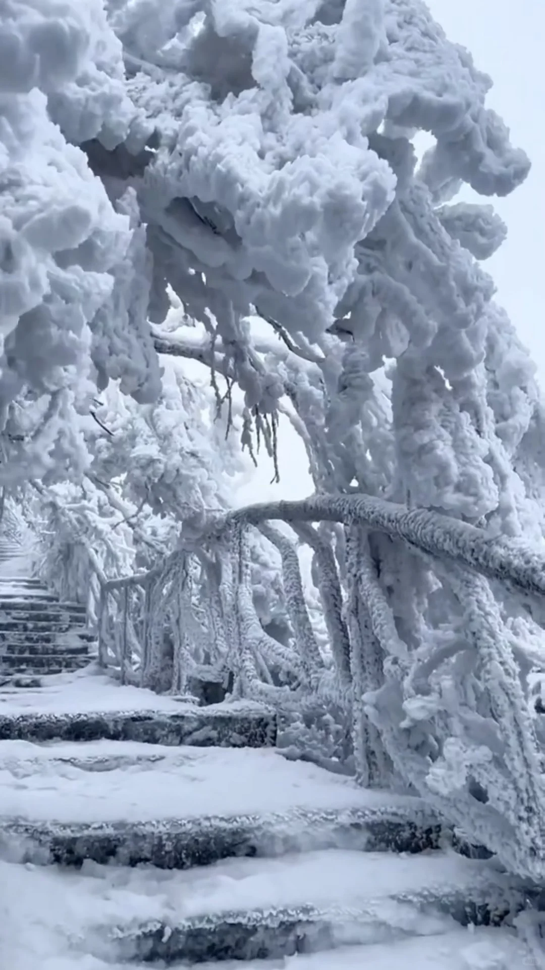 人生建议：冬天一定要去张家界看雪❄️