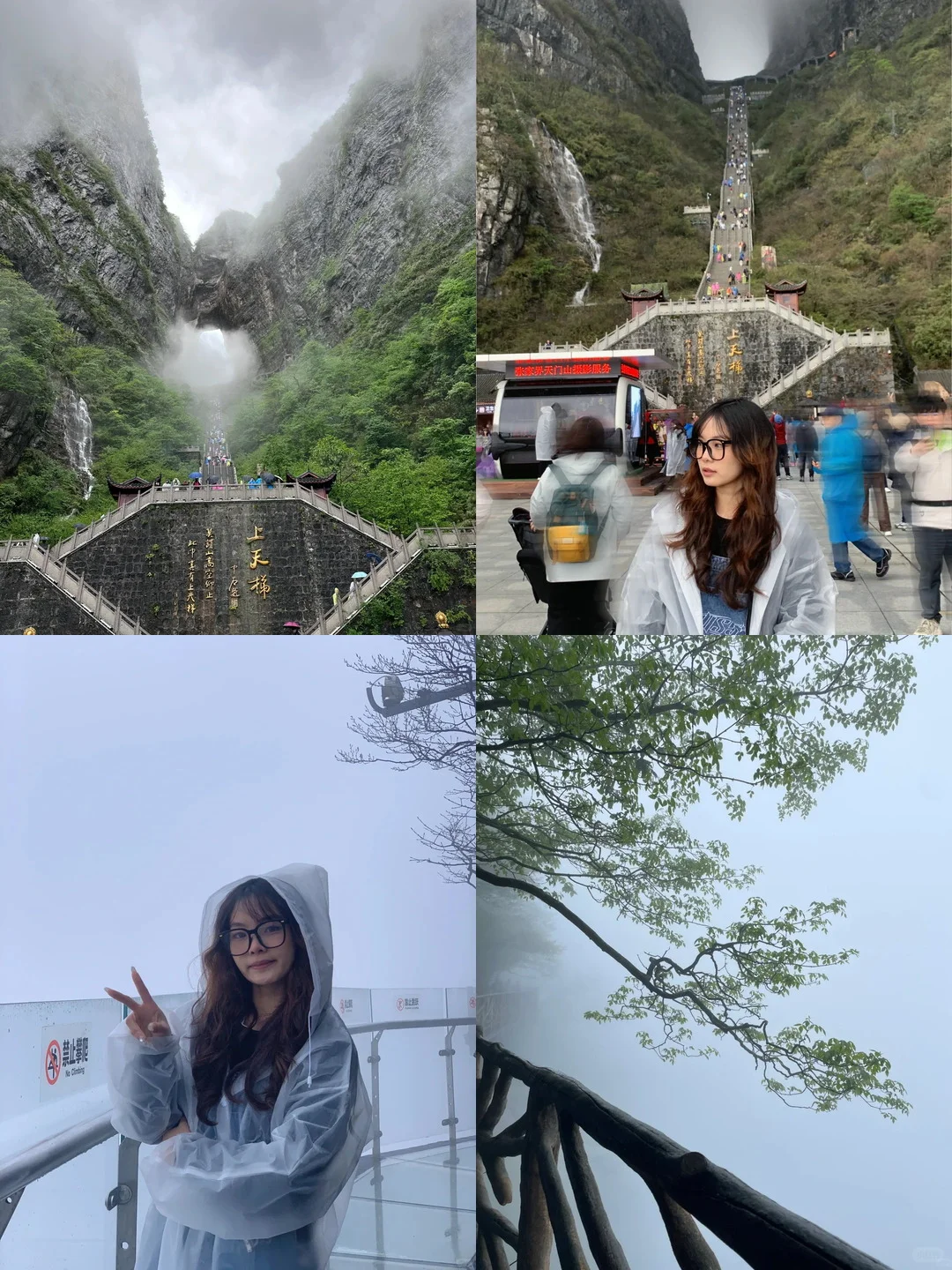 五一已回，张家界出行随便问！（避雷版）