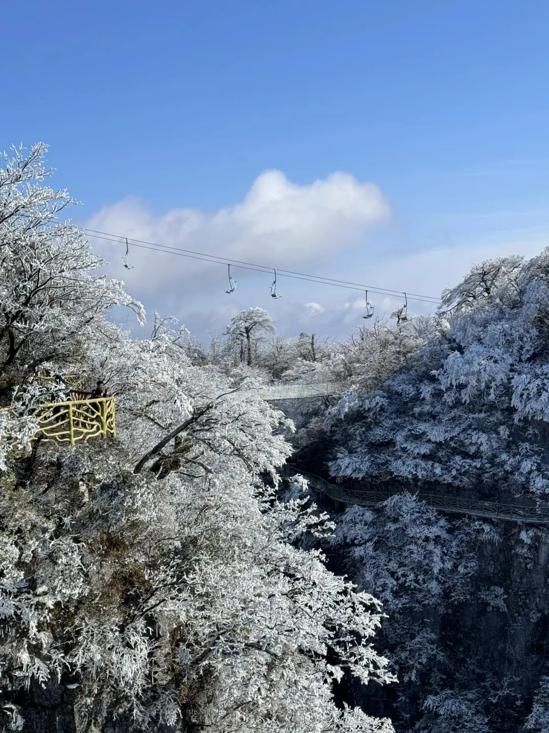准备飞中国的注意啦‼️