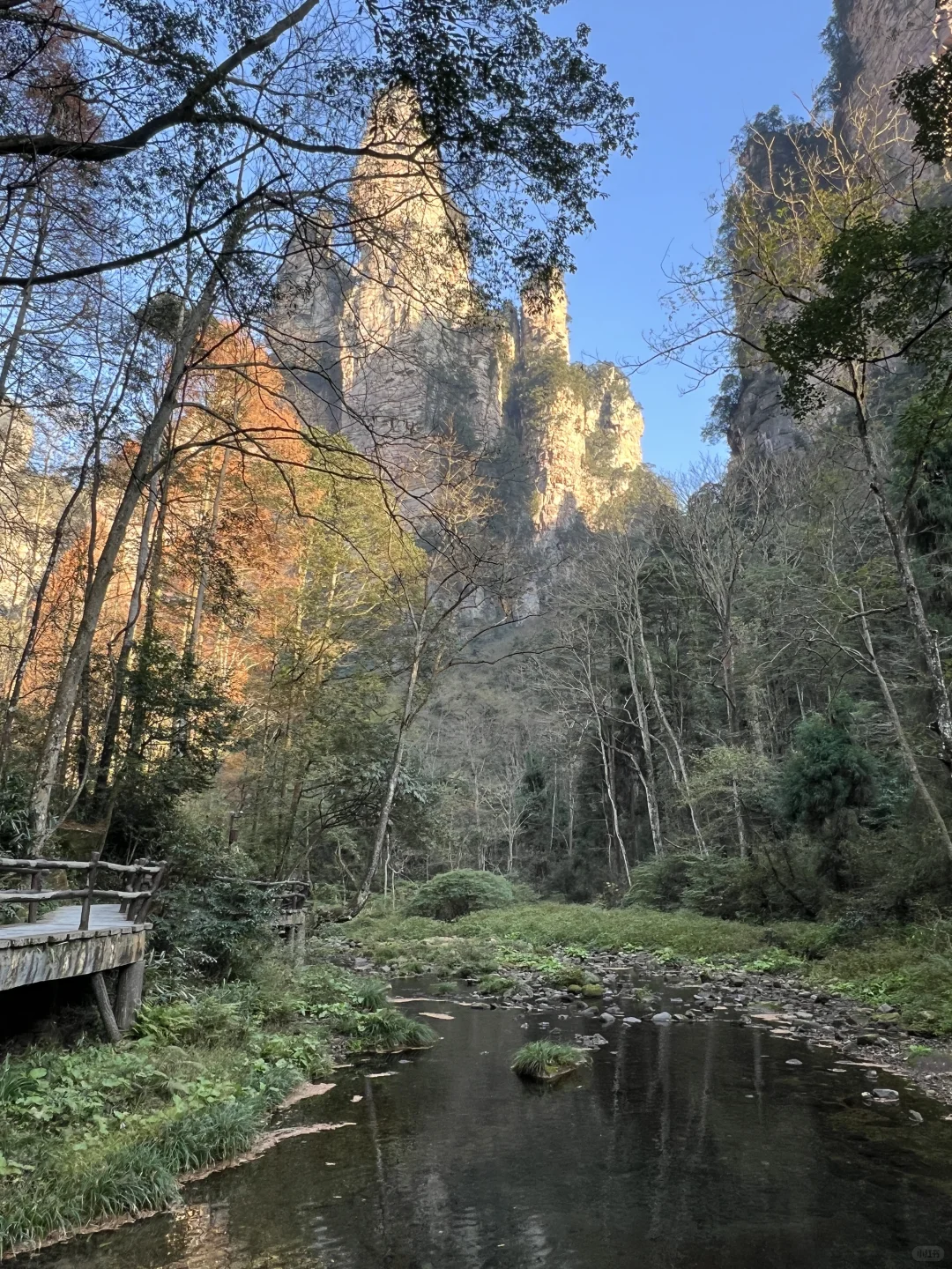 跟着🇨🇦向导2天逛遍张家界公园