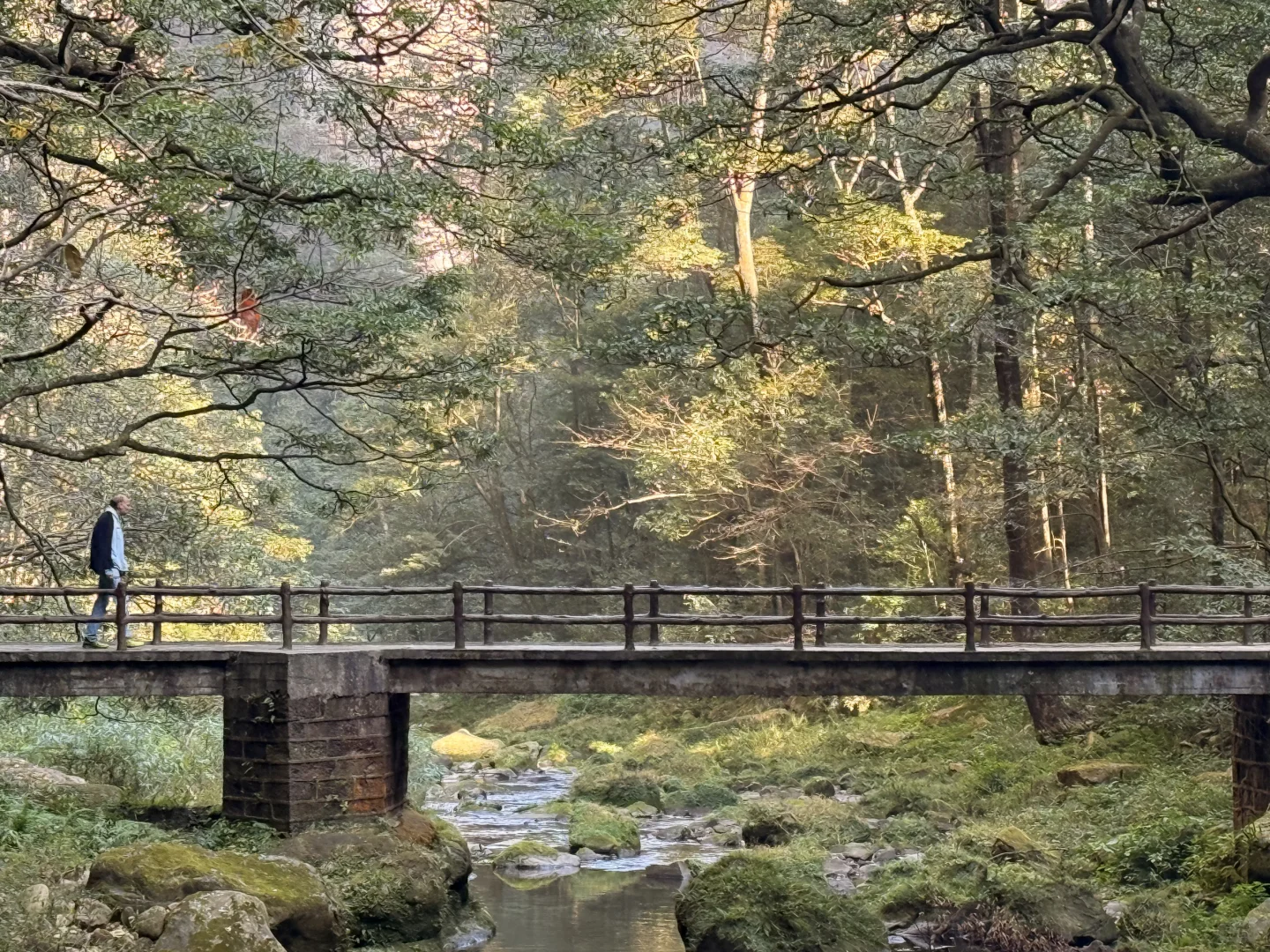 淡季张家界人少，无坑