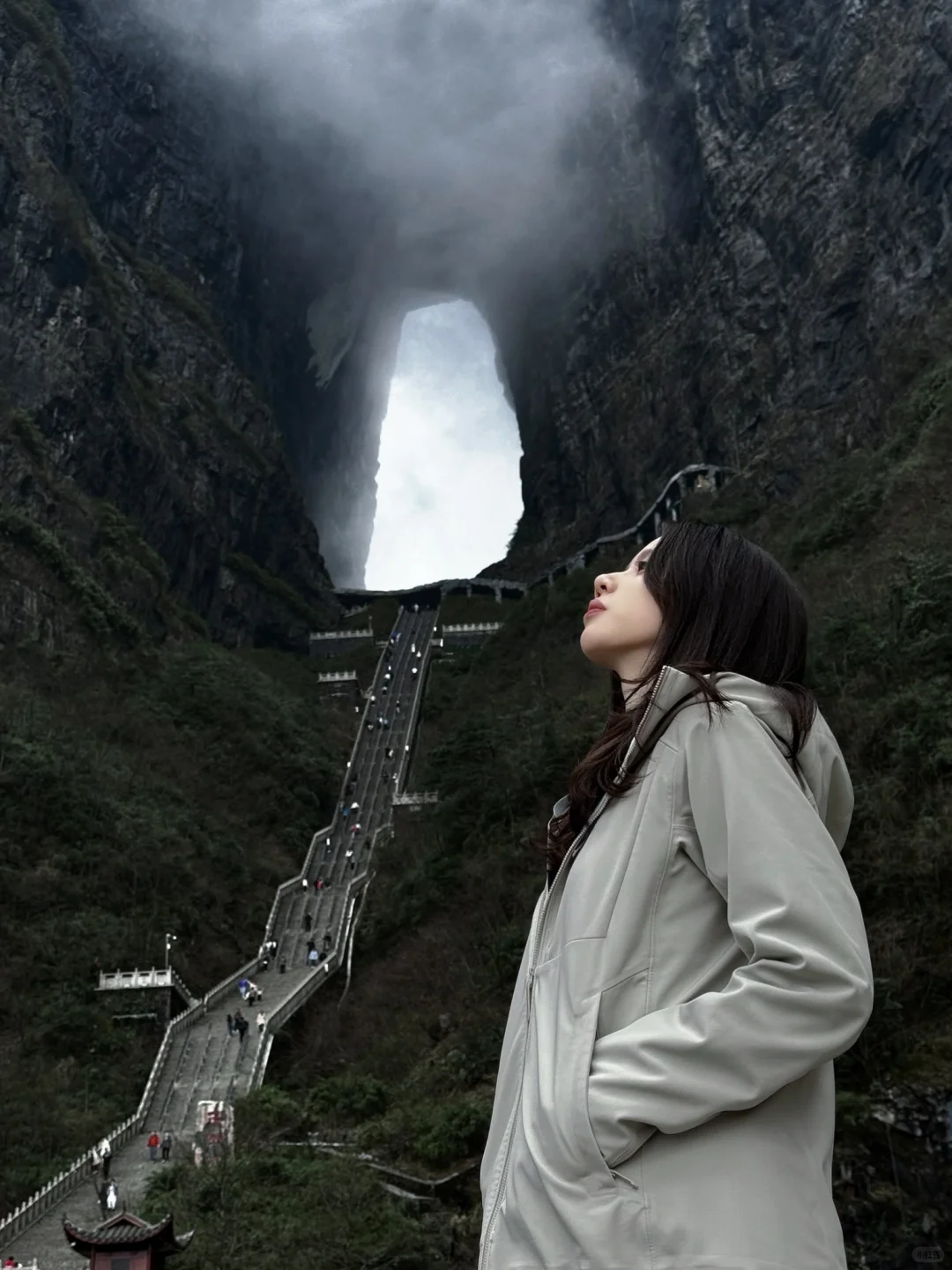 自由才是人生的底牌