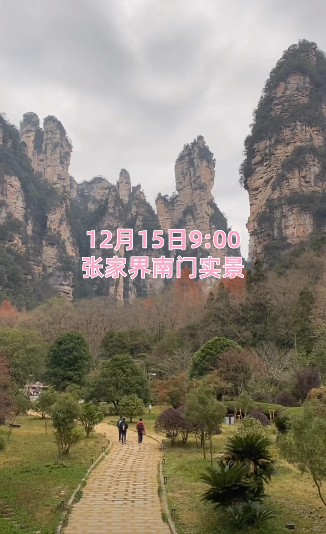 12月15日张家界景区实况