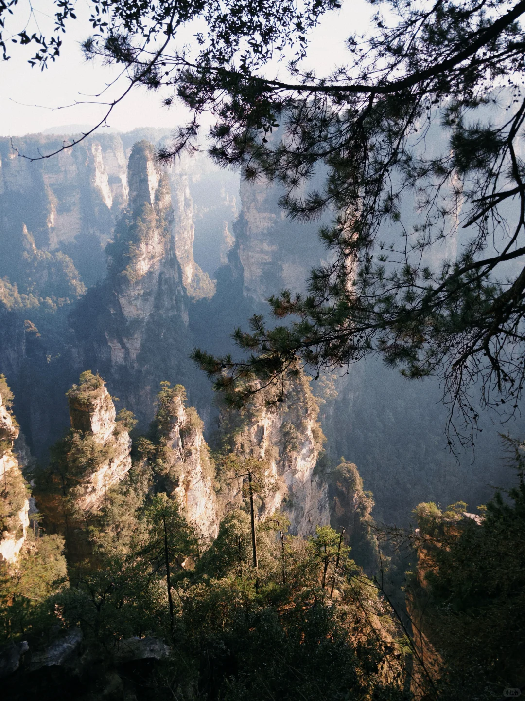 三天十万步畅游张家界