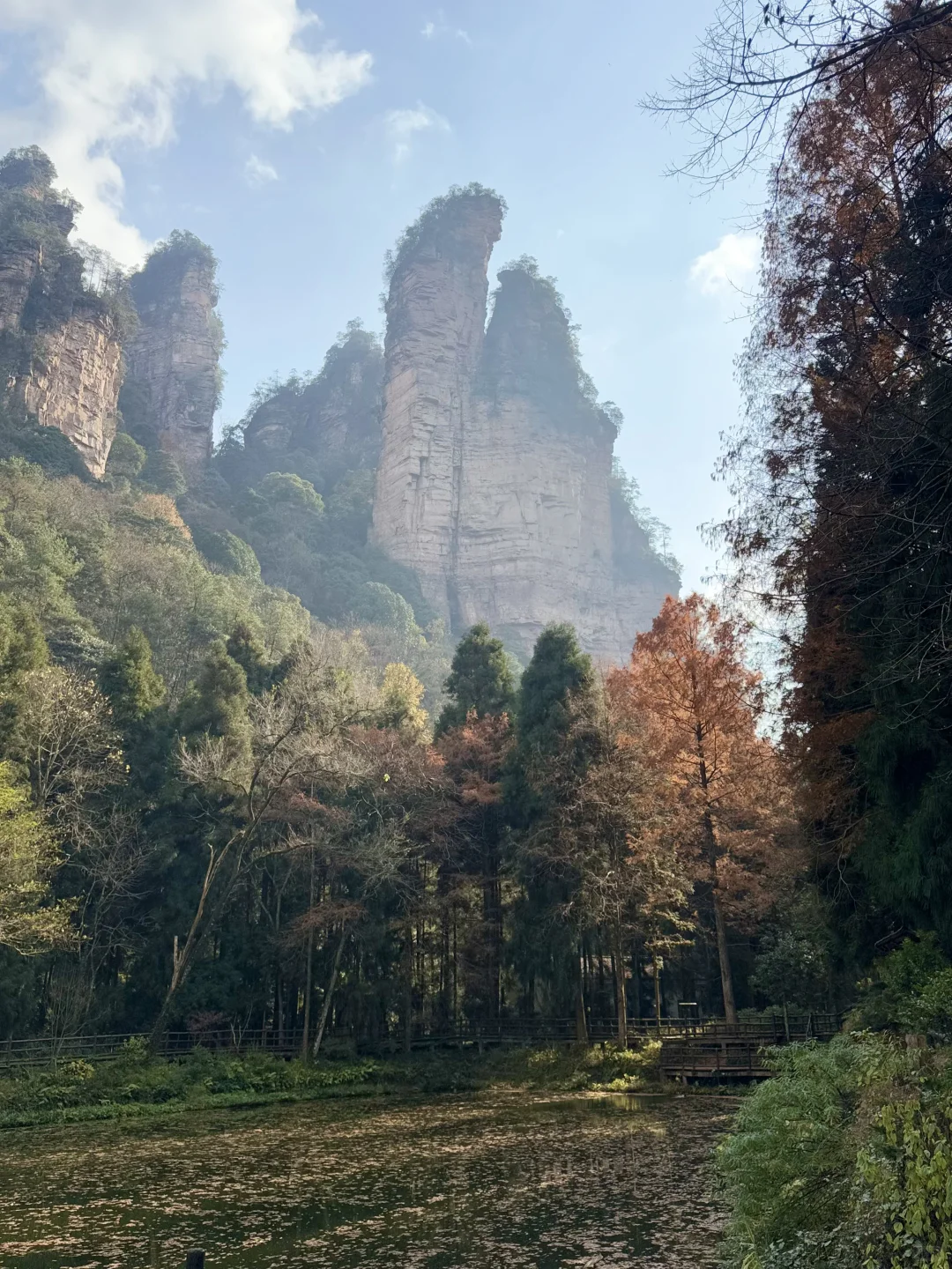 张家界，太美了！附精华攻略📖