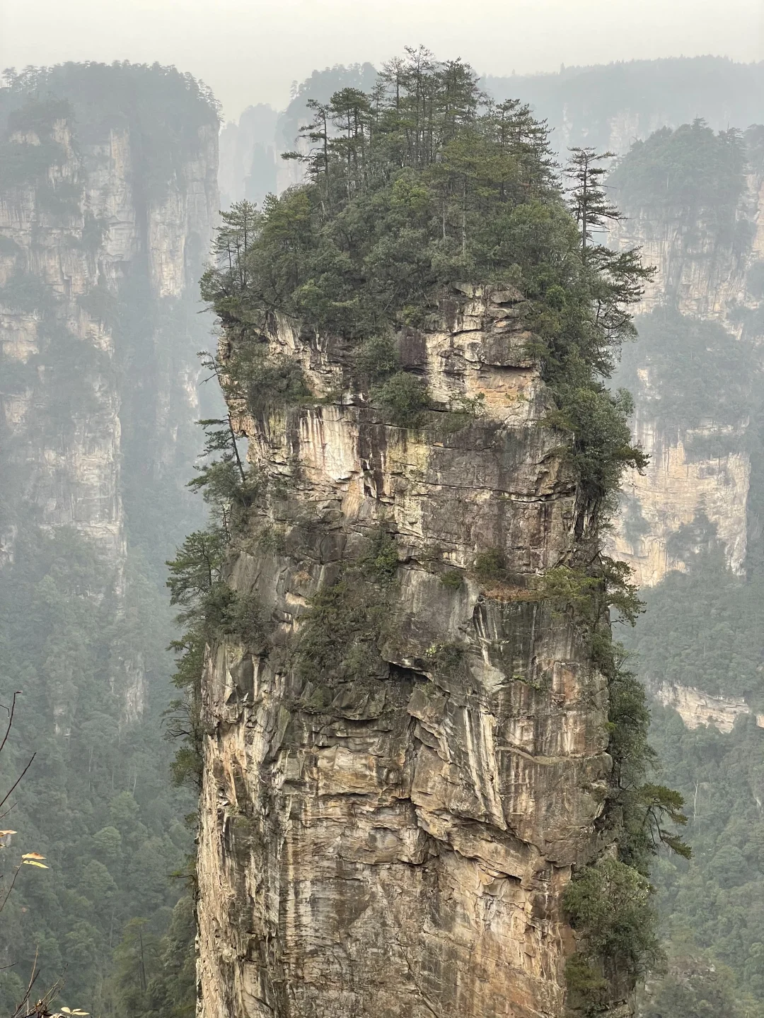 张家界3天2夜｜不想做攻略直接复制：）