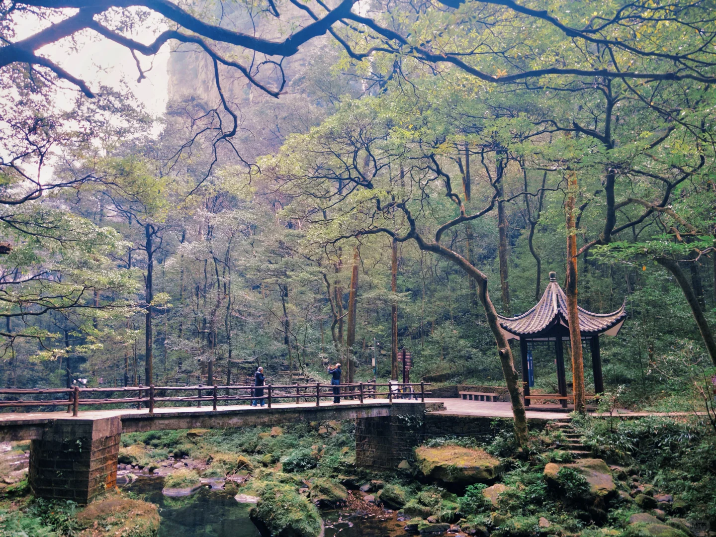三天十万步畅游张家界