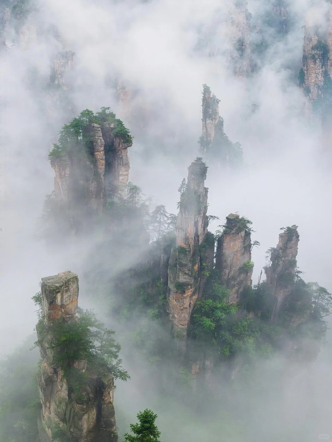 五一已回，张家界出行随便问！（避雷版）