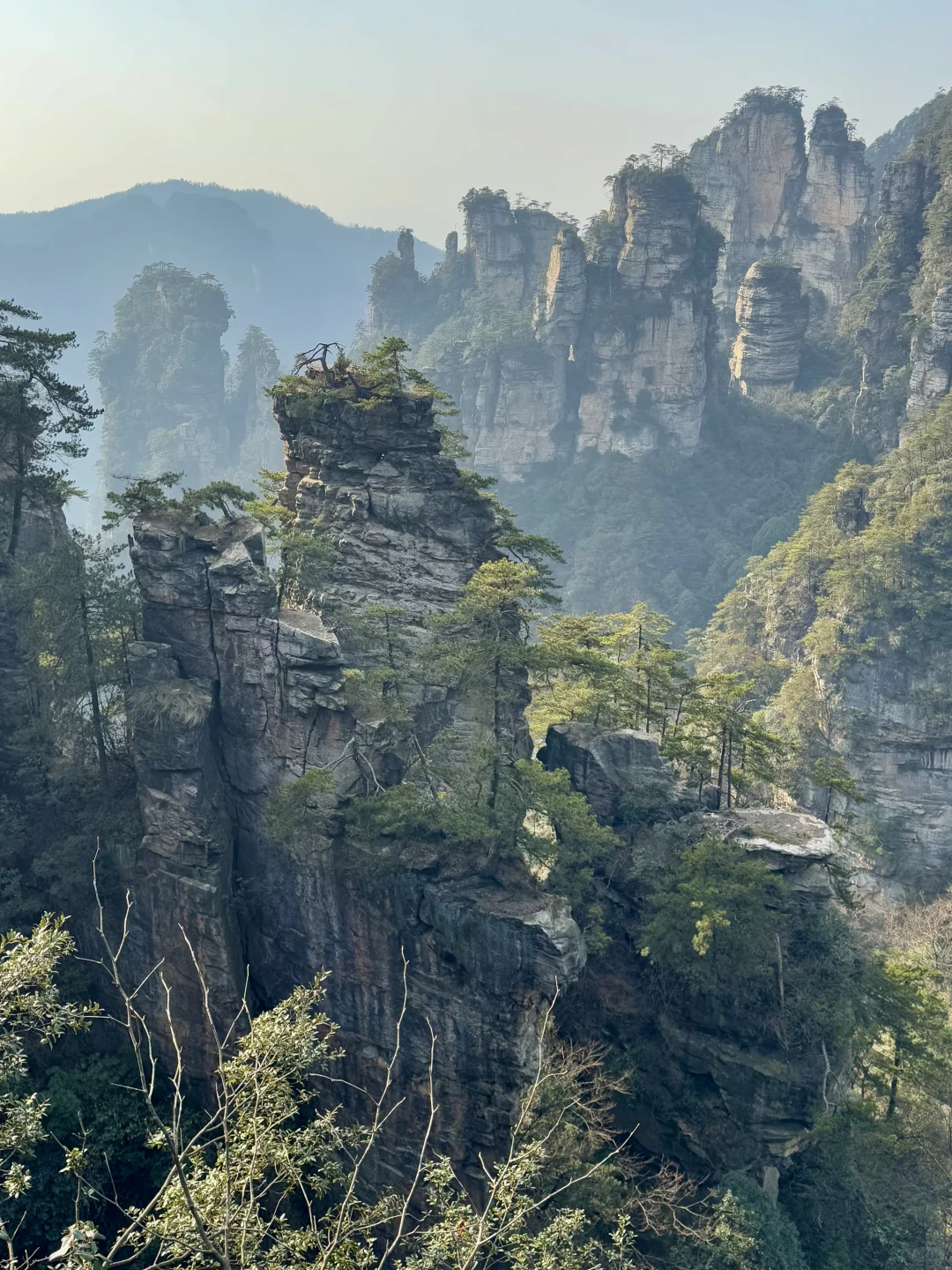 张家界，太美了！附精华攻略📖