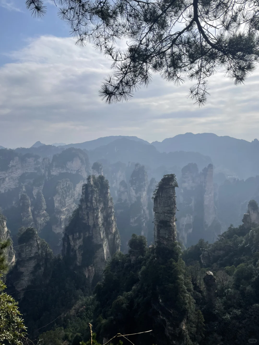 张家界3天2夜｜不想做攻略直接复制：）