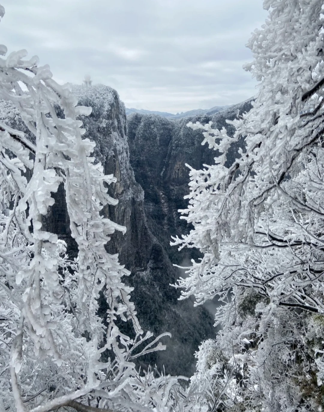 ❄️张家界天门山冬日限定冰雪童话！