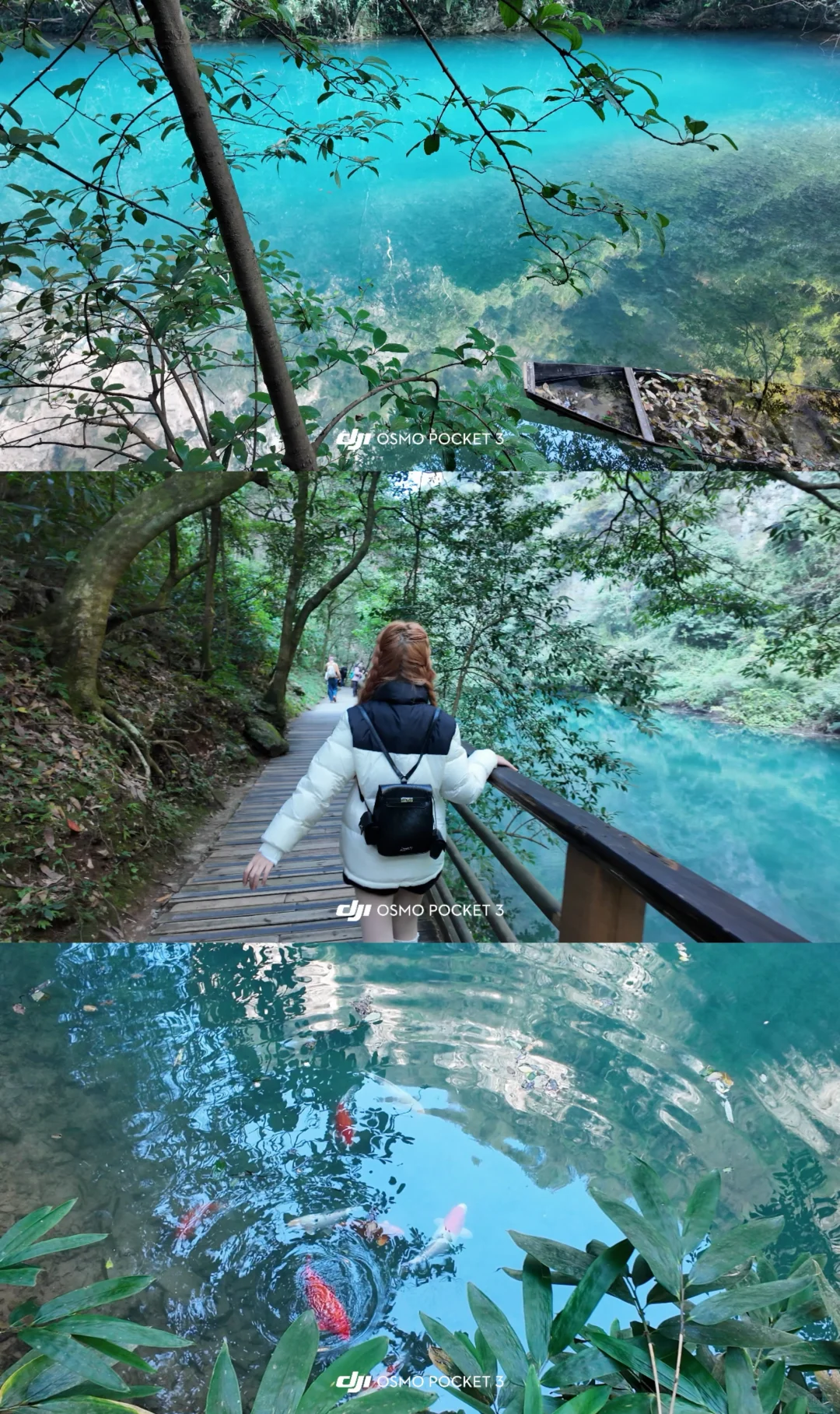 张家界大峡谷徒步快乐吸氧🍃