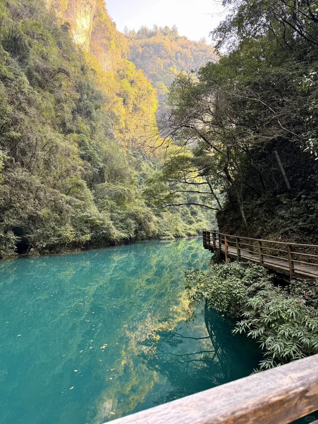 张家界大峡谷徒步快乐吸氧🍃