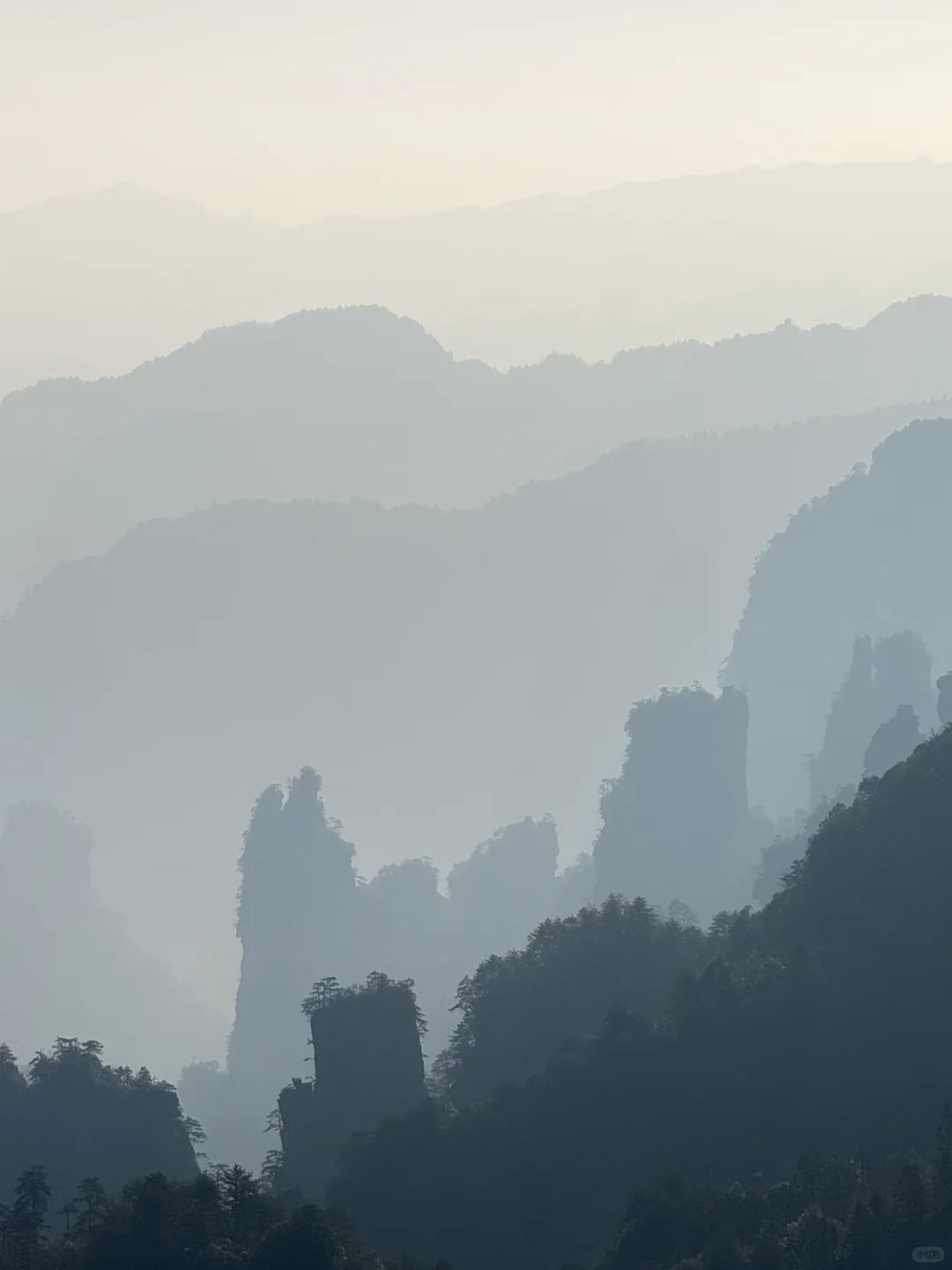 淡季张家界人少，无坑