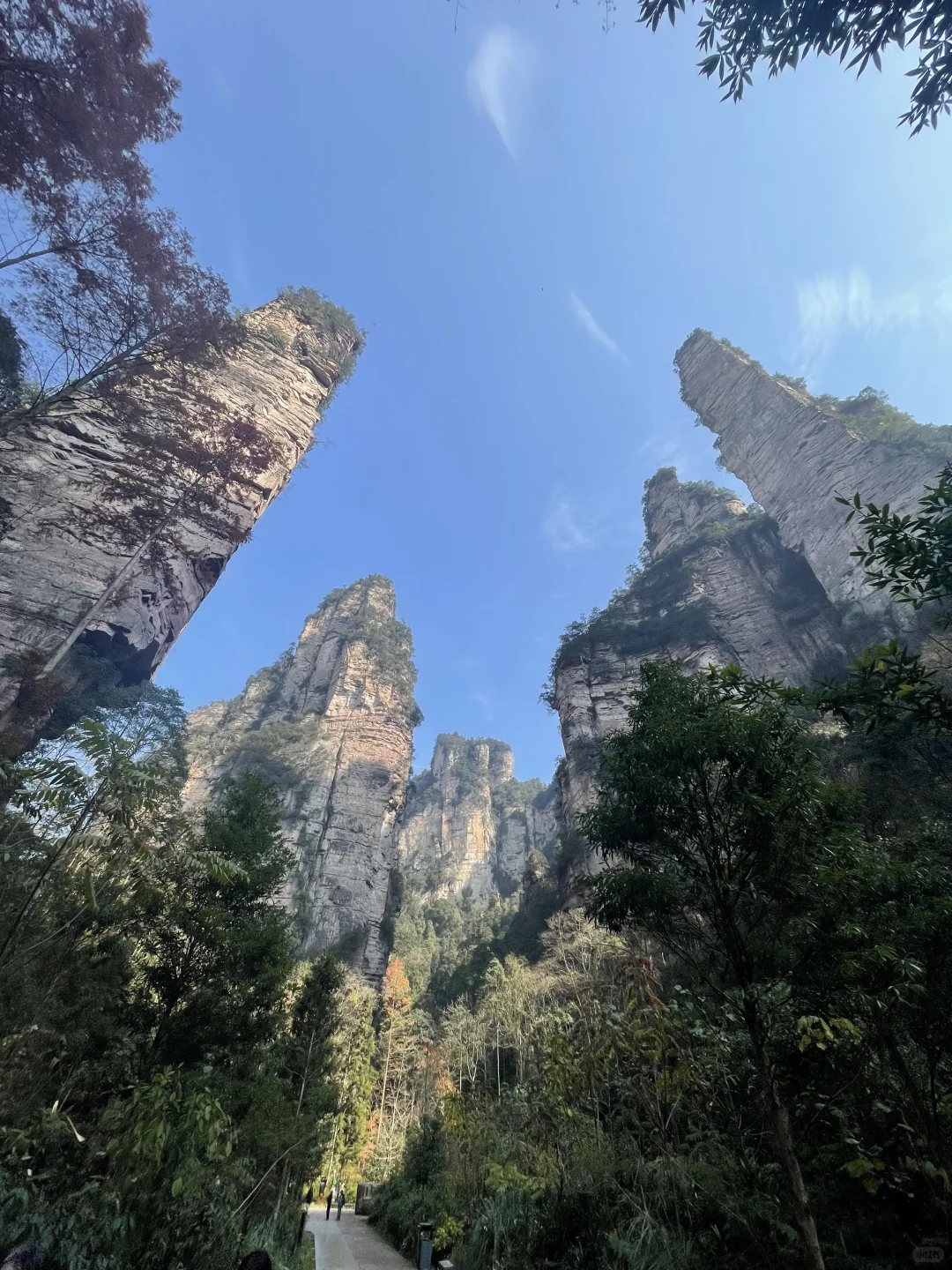 张家界3天2夜｜不想做攻略直接复制：）