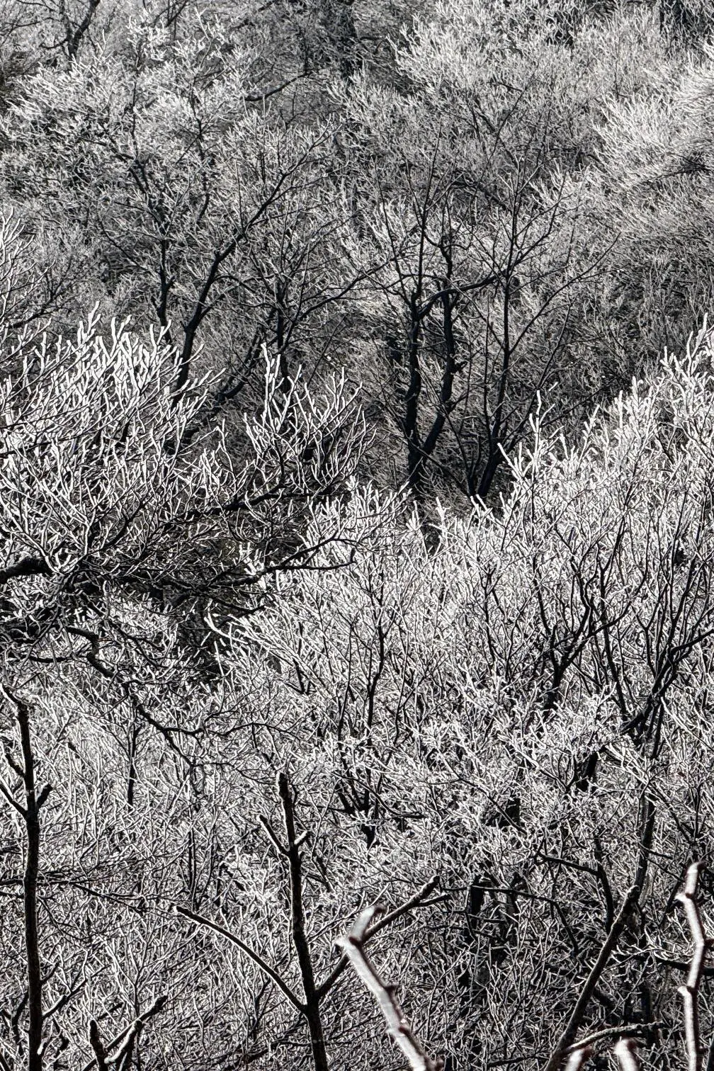 快看！天门山雾凇杀疯了