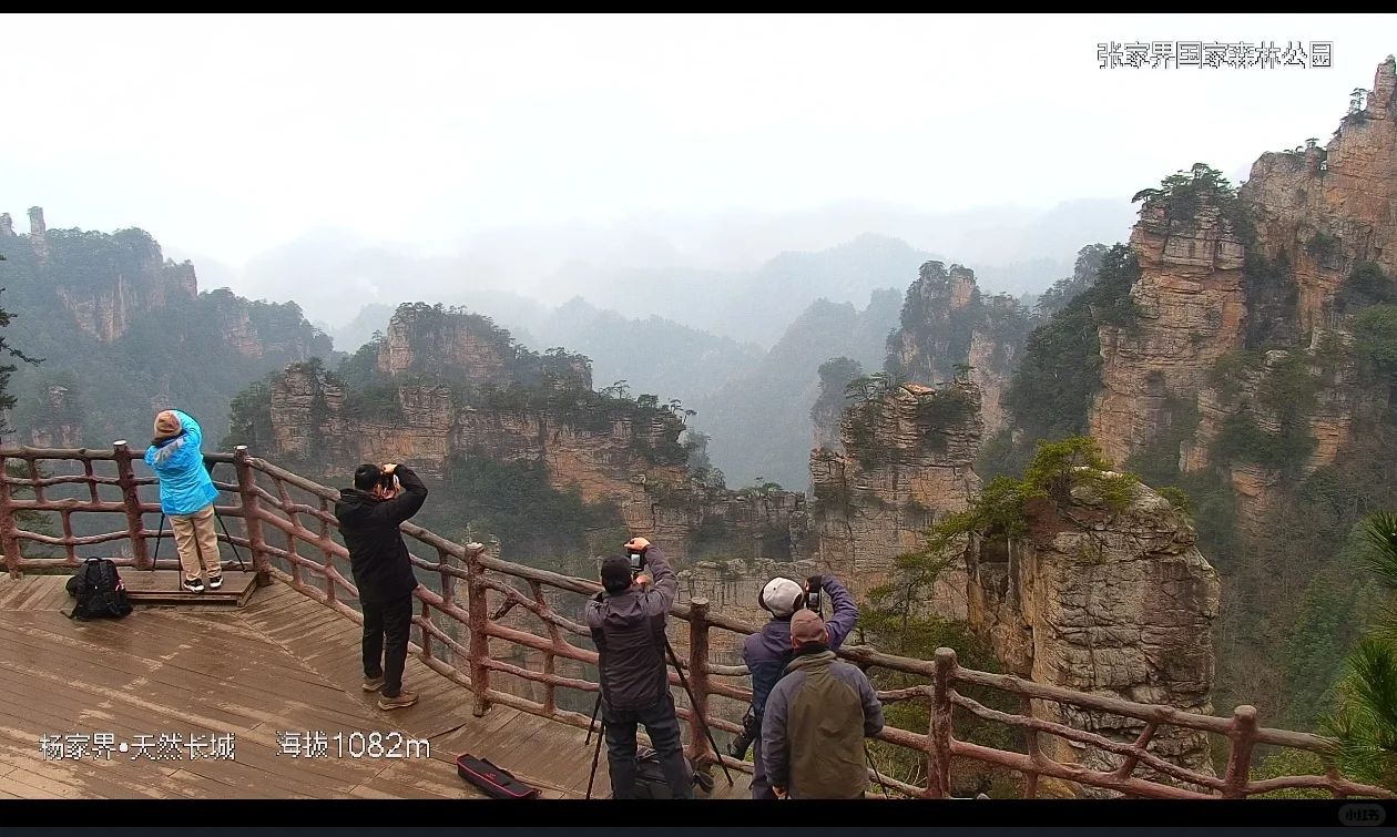 张家界景区实况12月13日
