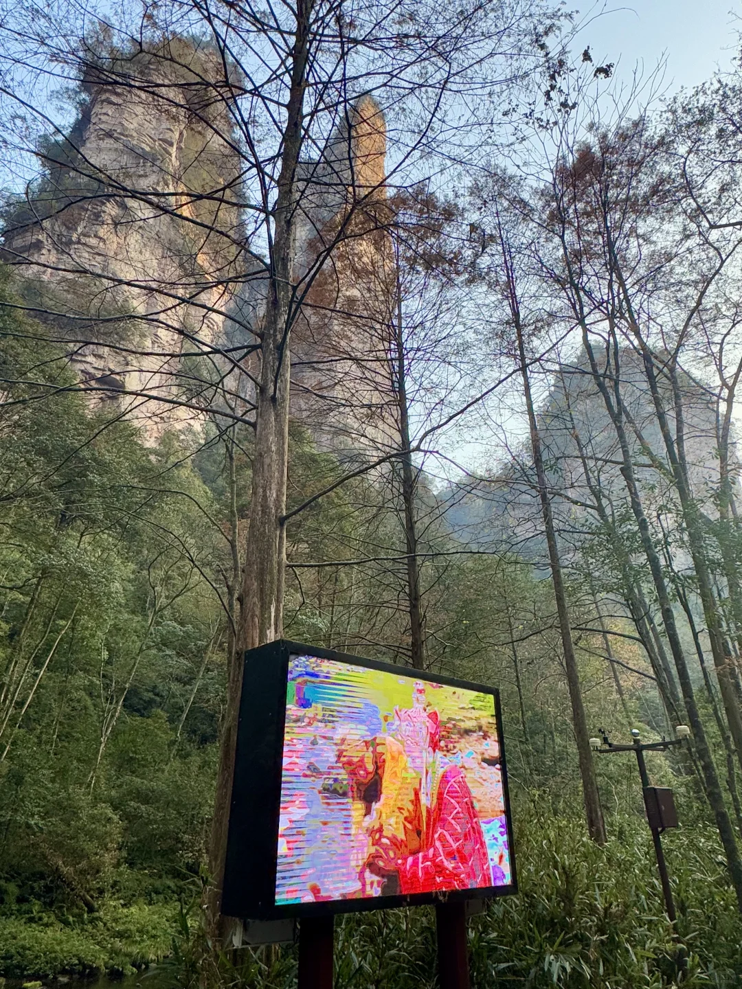 张家界，太美了！附精华攻略📖