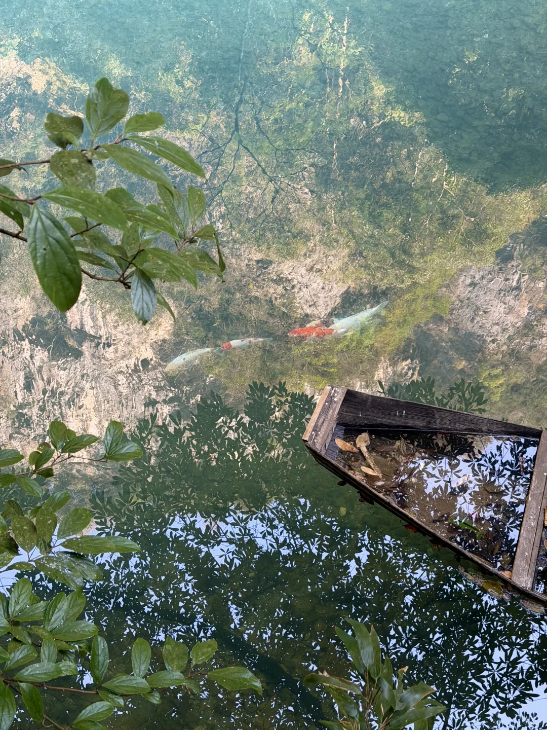 张家界大峡谷徒步快乐吸氧🍃