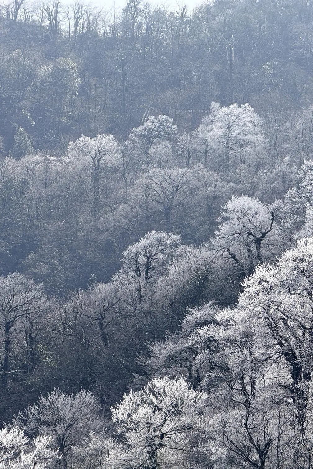 快看！天门山雾凇杀疯了