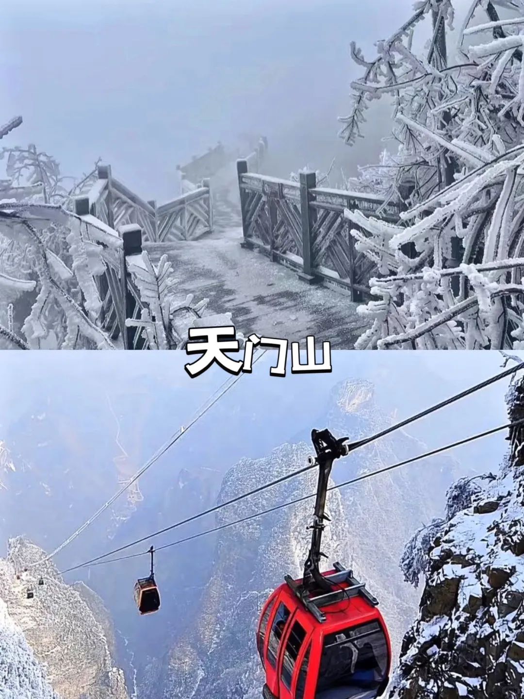 📍张家界受冻已回，但也被雾凇美哭啦😭