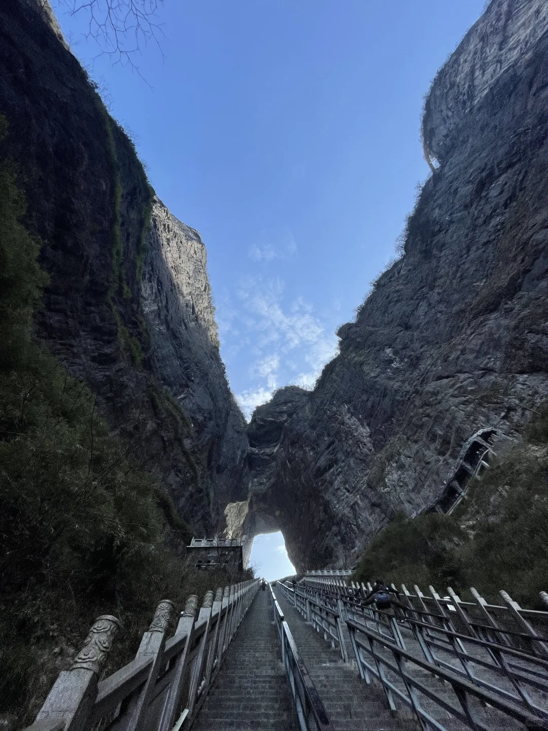 张家界3天2夜｜不想做攻略直接复制：）