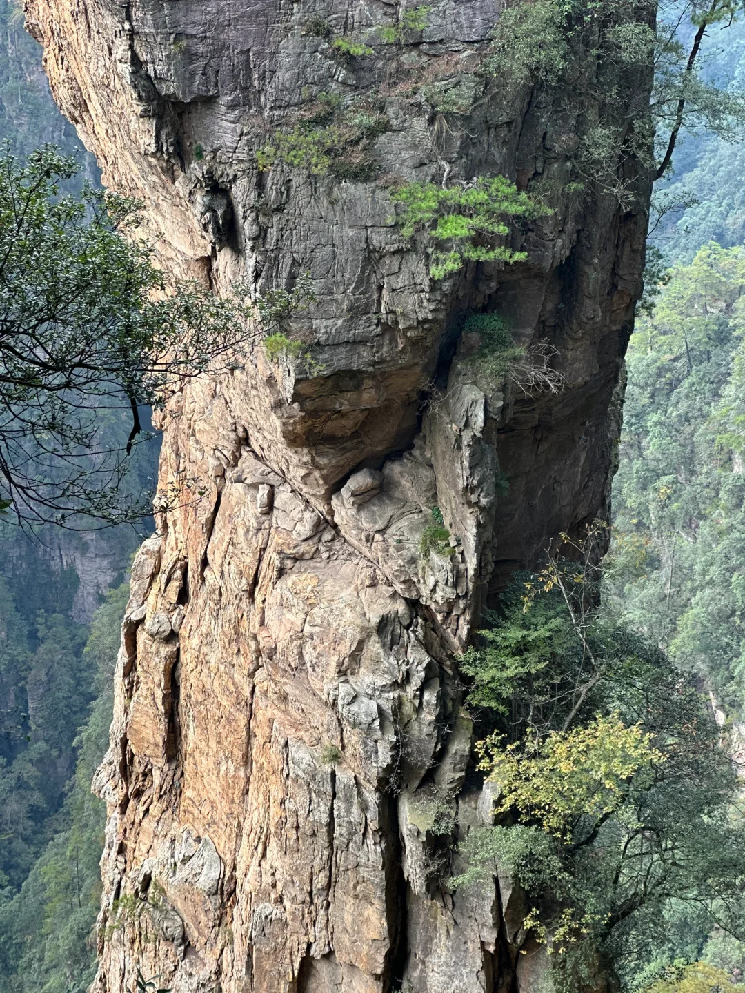 一天一夜的张家界来了