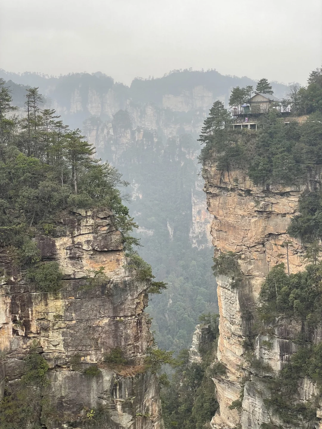 张家界3天2夜｜不想做攻略直接复制：）