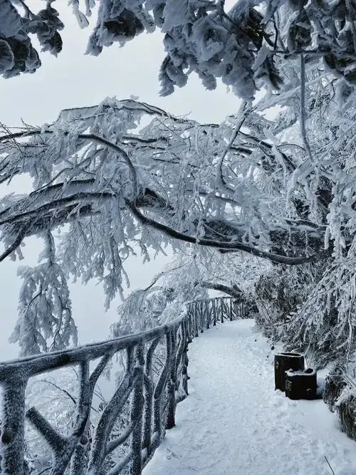 12月的张家界，在等您来欣赏