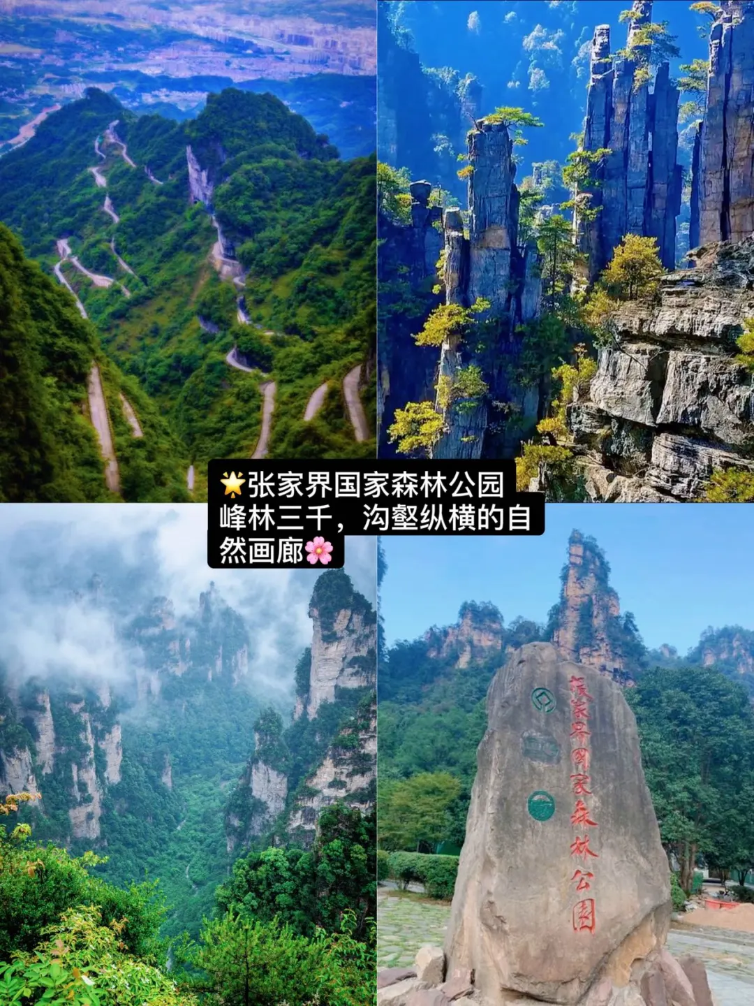 张家界土著强推的十家店，太好吃了！